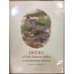 Ducks of Sub-Saharan Africa