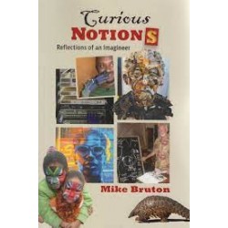 Curious Notions - Reflections of an Imagineer